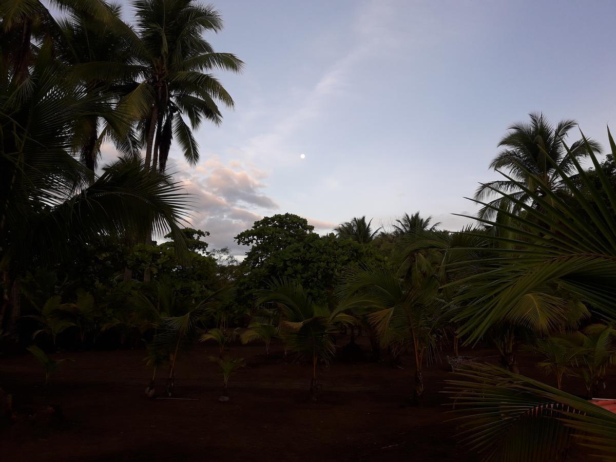 Hostal Pachamama Isla de Canas Eksteriør billede