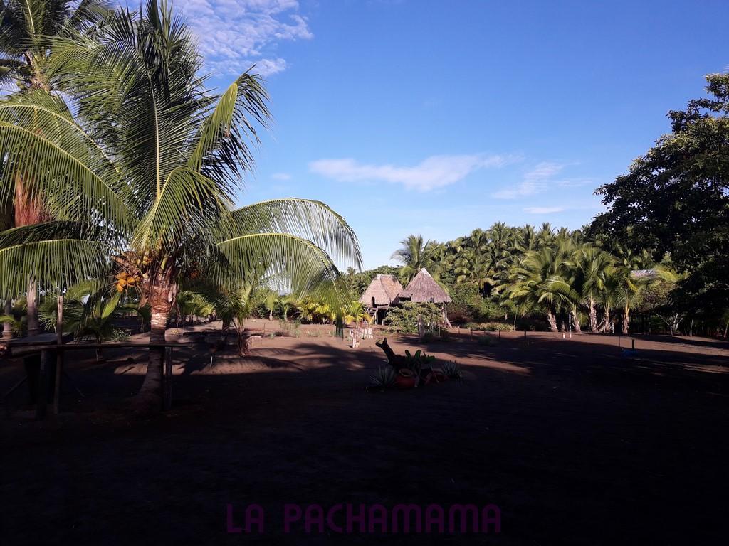 Hostal Pachamama Isla de Canas Eksteriør billede