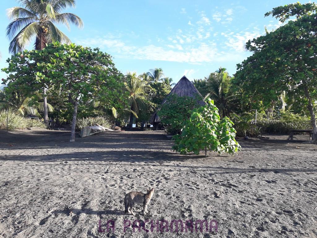 Hostal Pachamama Isla de Canas Eksteriør billede