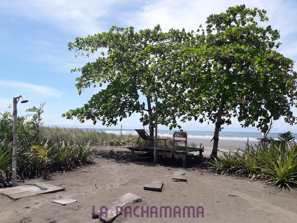 Hostal Pachamama Isla de Canas Eksteriør billede