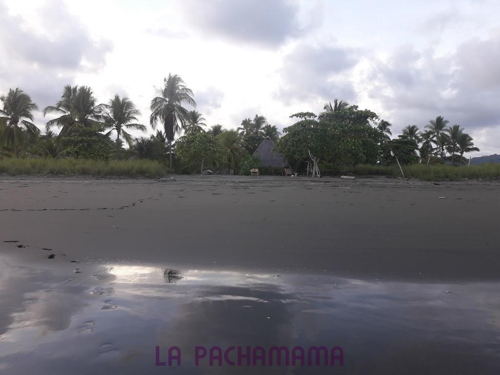 Hostal Pachamama Isla de Canas Eksteriør billede