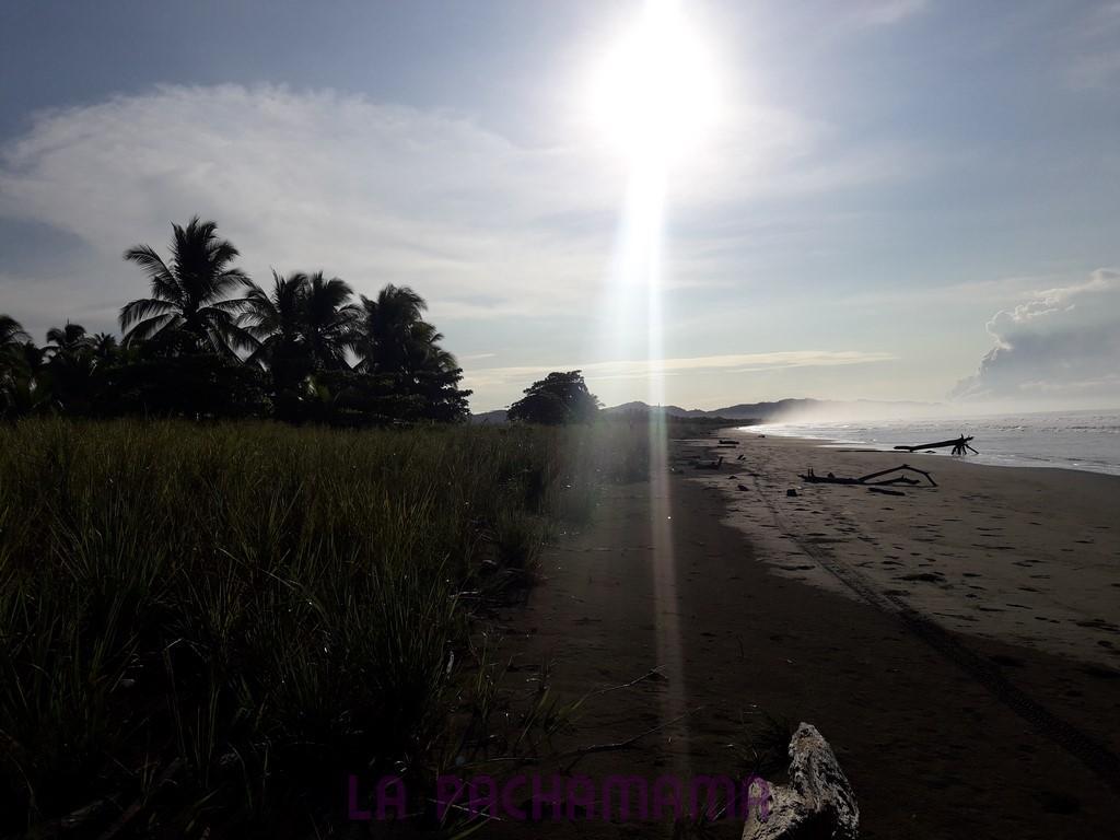 Hostal Pachamama Isla de Canas Eksteriør billede